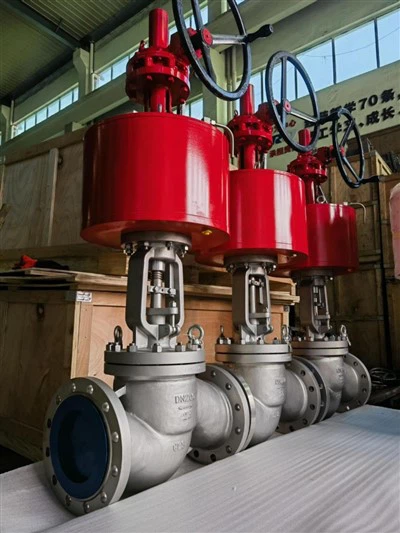 Vàlvula del Globus Normal